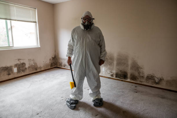 Best Industrial Mold Remediation in Benld, IL